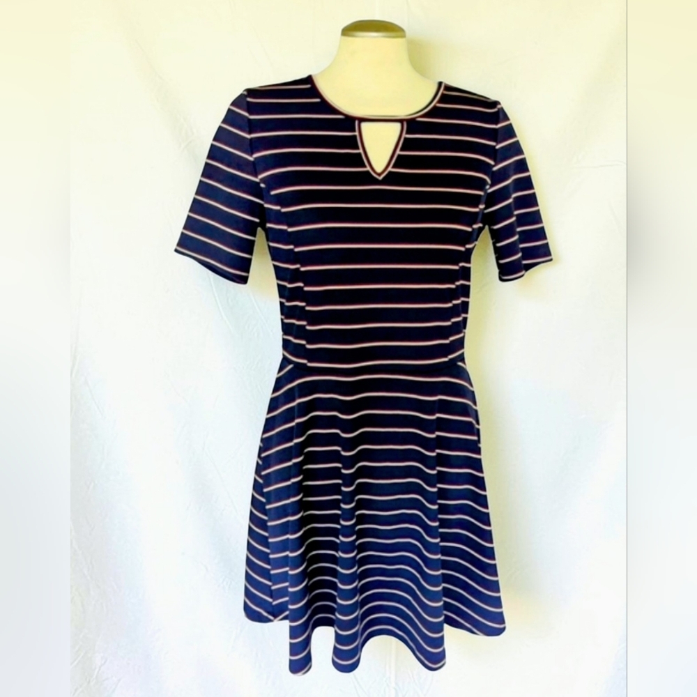 H&M Striped Blue & Red Striped Skater Dress Size Large Stretchy Fit & Flare